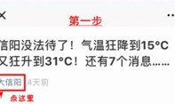 信阳资讯通最新爆料,最新爆料事件深度解析
